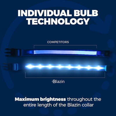 RhodesDavis LED Dog Collar - Original Bright Light for Enhanced Night Visibility Up to 1,000 Feet - USB Rechargeable & Waterproof - Ideal for Safe Night Walks - Made in the USA