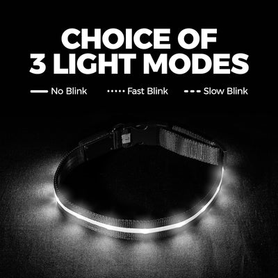 RhodesDavis LED Dog Collar - Original Bright Light for Enhanced Night Visibility Up to 1,000 Feet - USB Rechargeable & Waterproof - Ideal for Safe Night Walks - Made in the USA