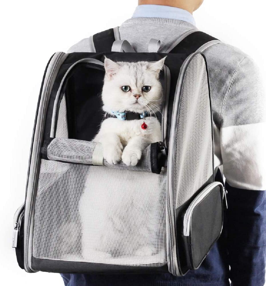 RhodesDavis Innovative Traveler Bubble Backpack Carrier for Cats and Dogs (Black)