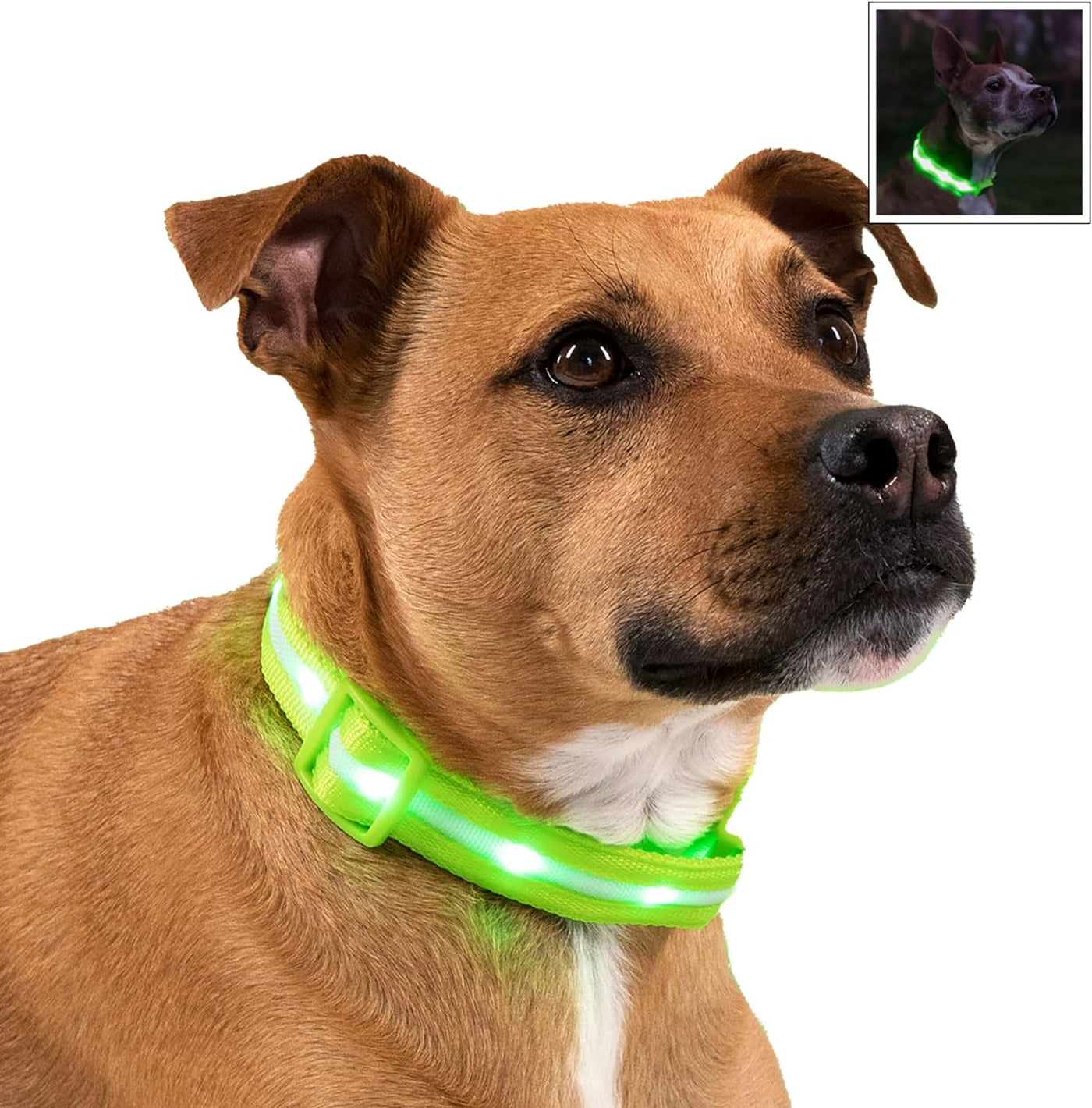 RhodesDavis LED Dog Collar - Original Bright Light for Enhanced Night Visibility Up to 1,000 Feet - USB Rechargeable & Waterproof - Ideal for Safe Night Walks - Made in the USA