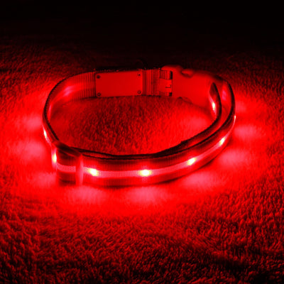 RhodesDavis LED Dog Collar - Original Bright Light for Enhanced Night Visibility Up to 1,000 Feet - USB Rechargeable & Waterproof - Ideal for Safe Night Walks - Made in the USA