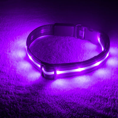 RhodesDavis LED Dog Collar - Original Bright Light for Enhanced Night Visibility Up to 1,000 Feet - USB Rechargeable & Waterproof - Ideal for Safe Night Walks - Made in the USA