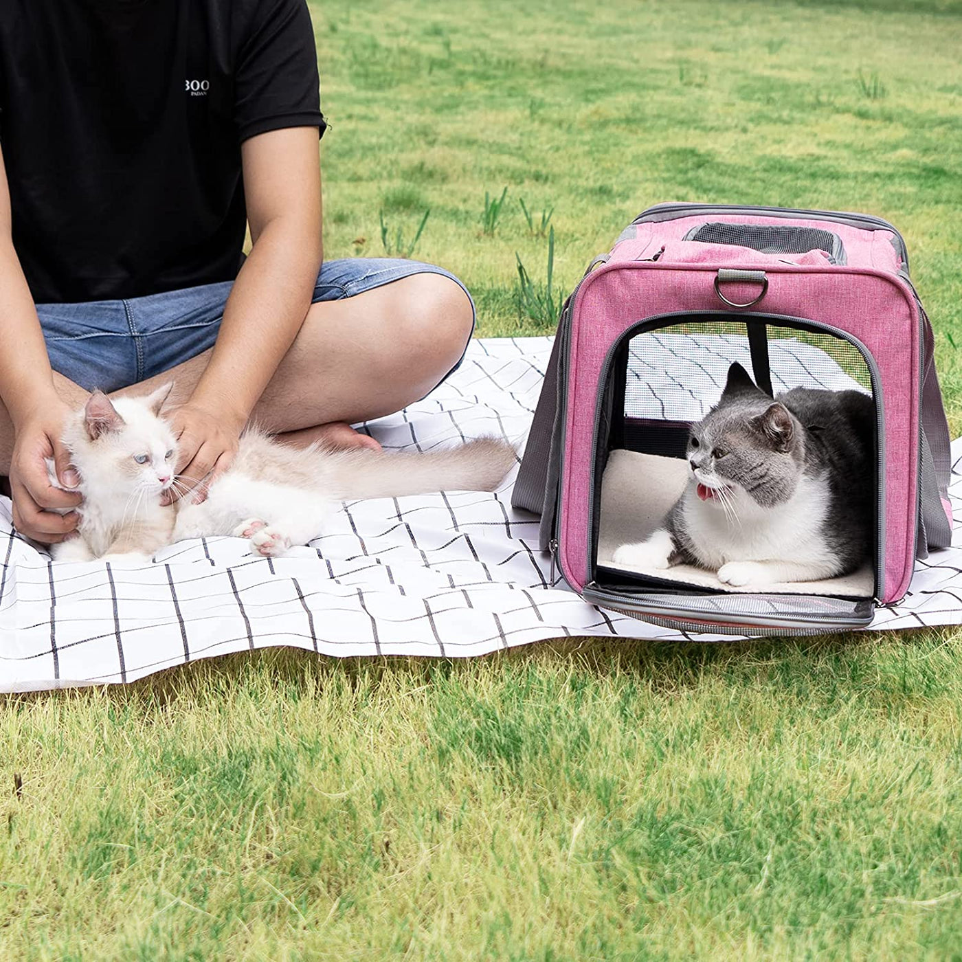 RhodesDavis Pet Carrier for Large and Medium Cats, Soft-Sided Pet Carrier for Big Medium Cats and Puppy Dog Carriers Cat Carriers, Pet Privacy Protection Travel Carrier