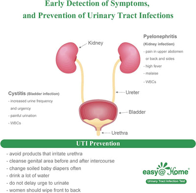 RhodesDavis Urinary Tract Infection Test Strips - 10 Individual Pouches, FSA Eligible UTI Urine Testing Kit for Leukocytes and Nitrite Detection (UTI-10P)